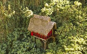 Tree House Village - Waterfall